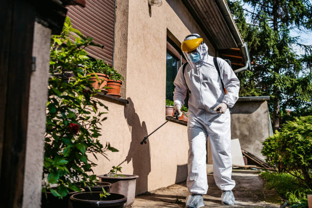 Best Best Pest Control Companies  in Horseshoe Bend, AR