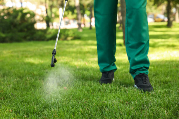 Best Flea Control Services  in Horseshoe Bend, AR