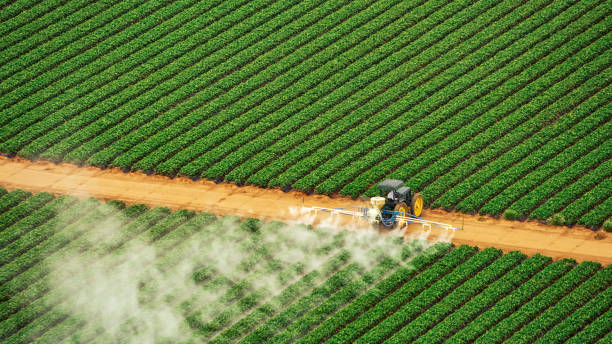 Best Commercial Pest Control Services  in Horseshoe Bend, AR