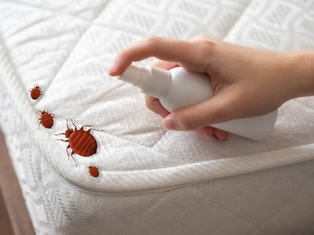 Best Best Pest Control Companies  in Horseshoe Bend, AR