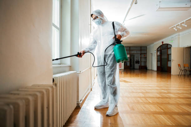 Professional Pest Control in Horseshoe Bend, AR
