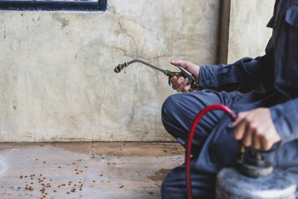 Trusted Horseshoe Bend, AR Pest Control Experts